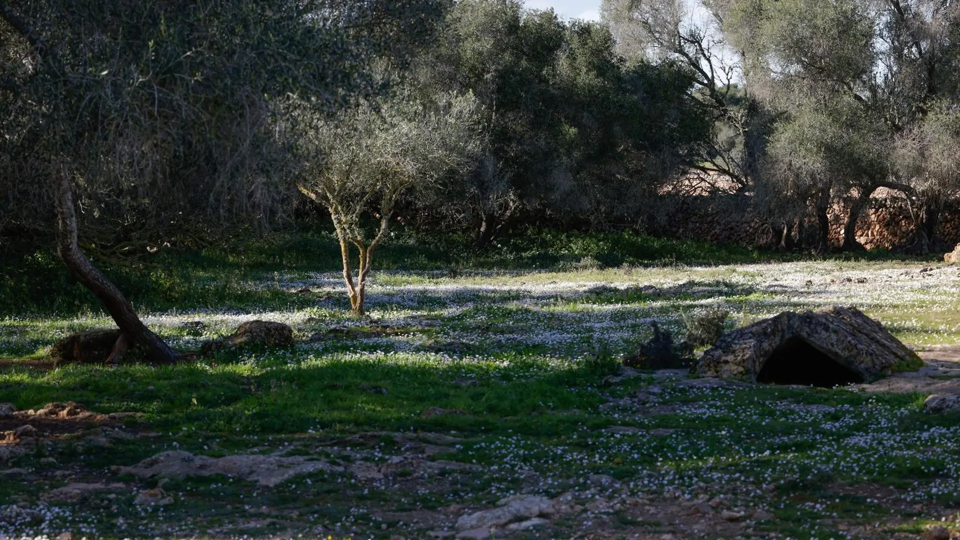 Agroturismo Finca Son Pieras Llucmajor  Country house